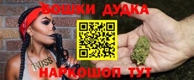 шишки Кингисепп