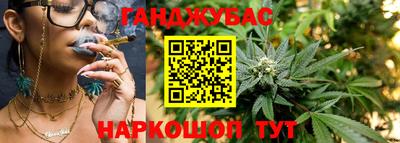 шишки Кингисепп