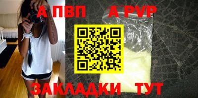 шишки Кингисепп