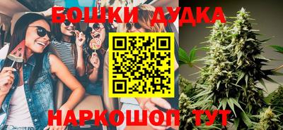 гашик Кинель
