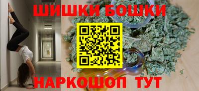 шишки Кингисепп