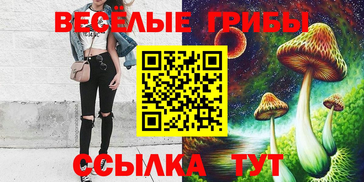 Галлюциногенные грибы GOLDEN TEACHER Комсомольск-на-Амуре