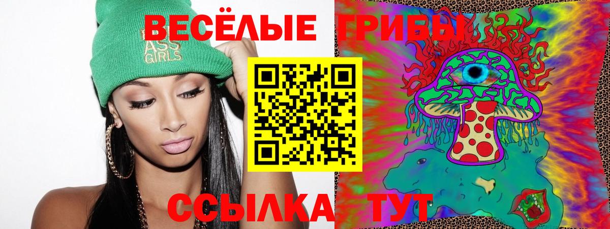 Комсомольск-на-Амуре  Галлюциногенные грибы Psilocybine cubensis  закладки  Вход с VPN 